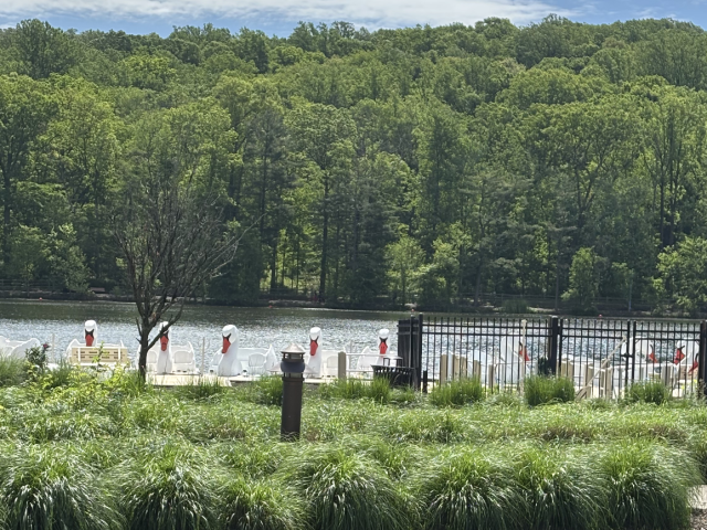 Wellness on the Waterfront: July 1-31
